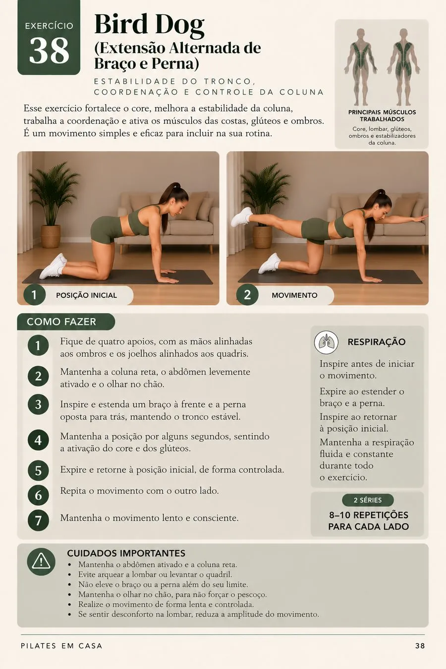 Página do guia: Bird Dog